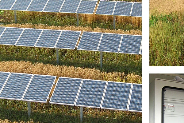 FOTOVOLTAICO A TERRA